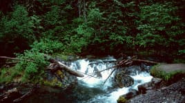 Mount Fernie Provincial Park