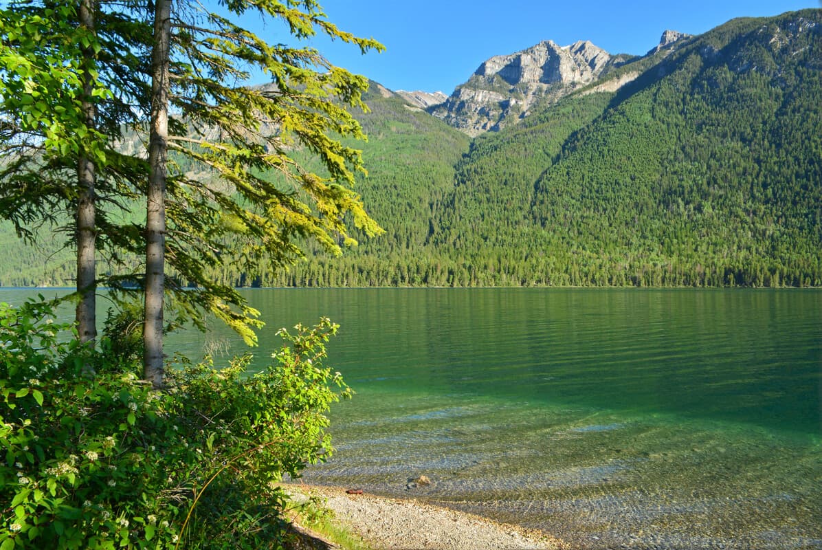 Whiteswan Lake Provincial Park
