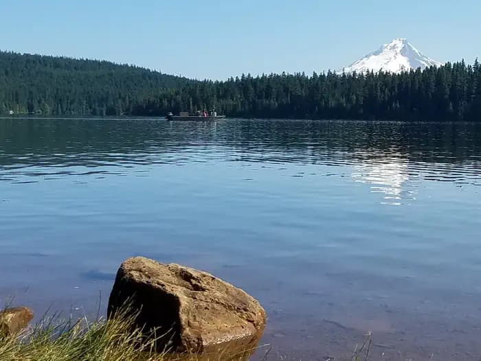 Gone Creek Campground (Timothy Lake, OR)