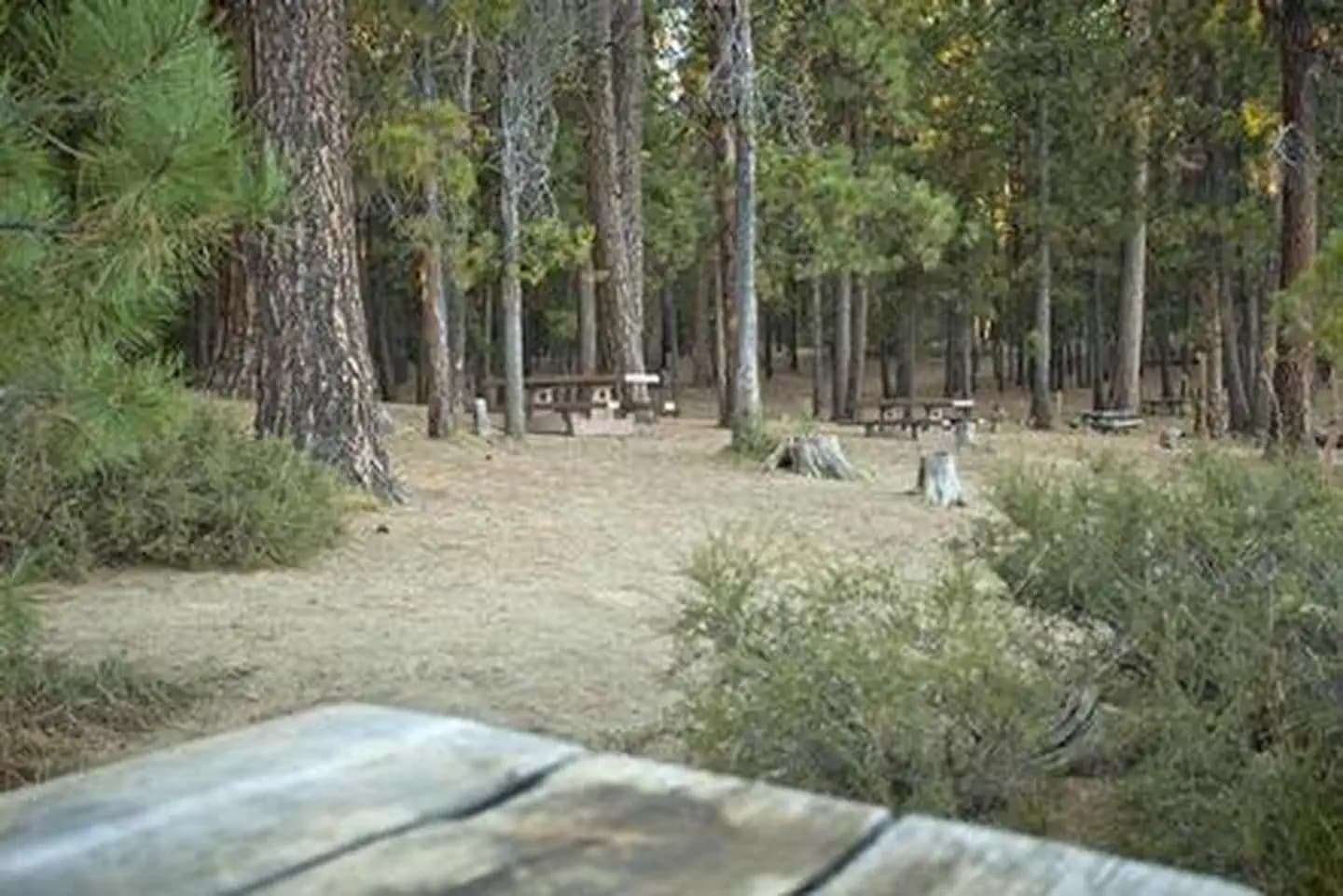 SOUTH TWIN LAKE CAMPGROUND