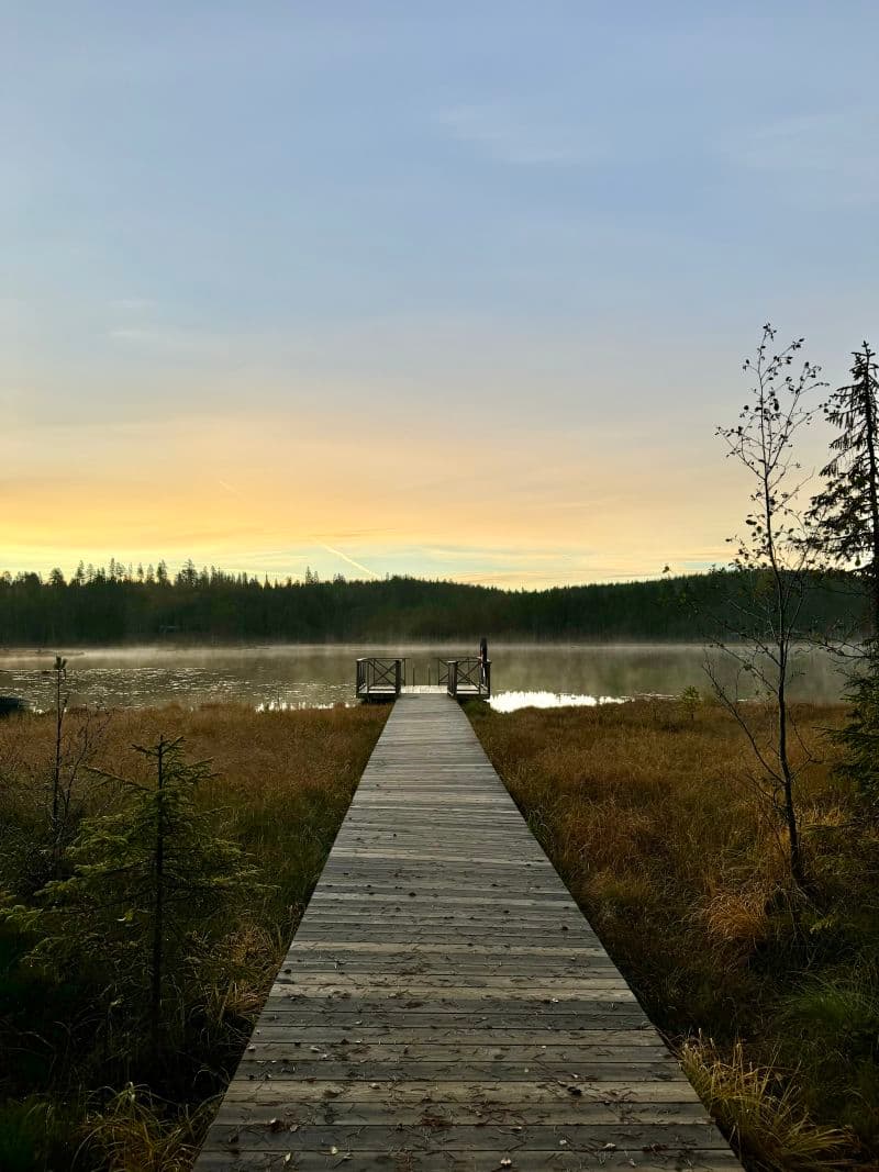 Gulsjøhytta