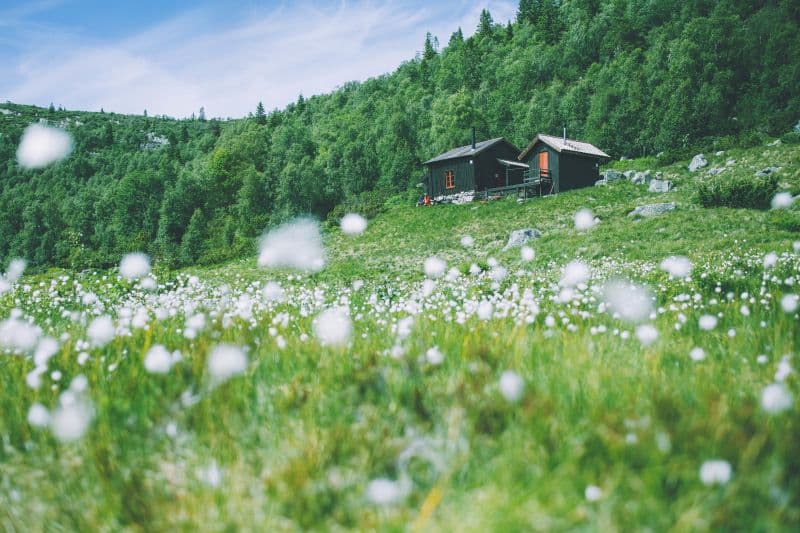 Tjønndalen